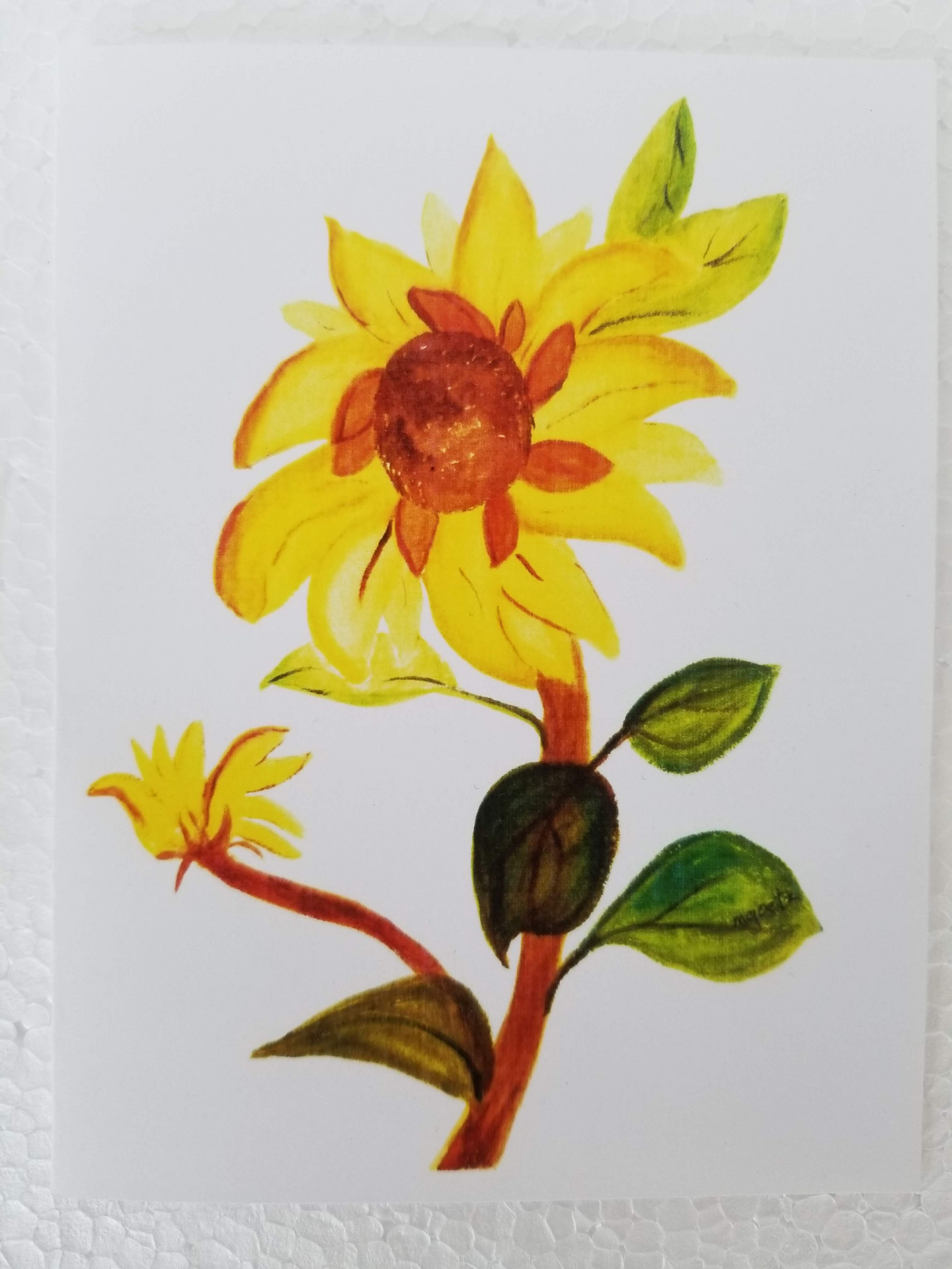 set of 4 notecards by Mary Goetz, yellow flower